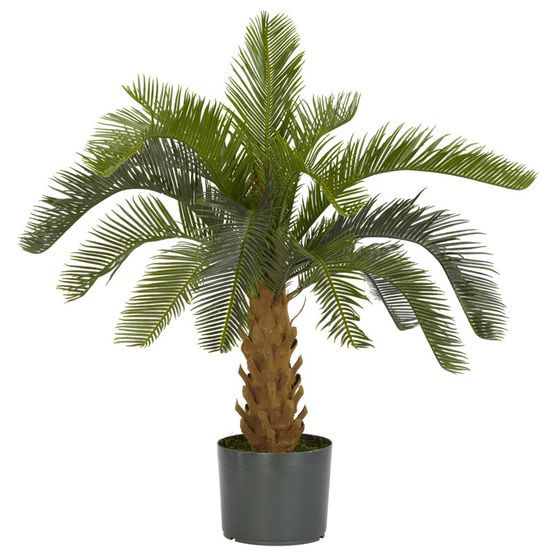 Primrue 28" Artificial Palm Tree in Pot & Reviews Wayfair.ca